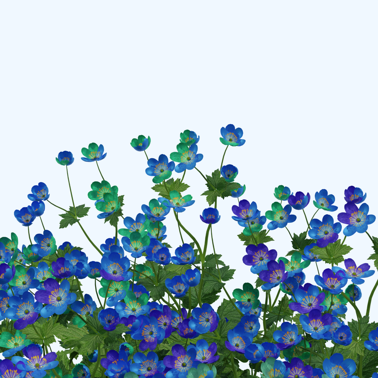 Profile Background